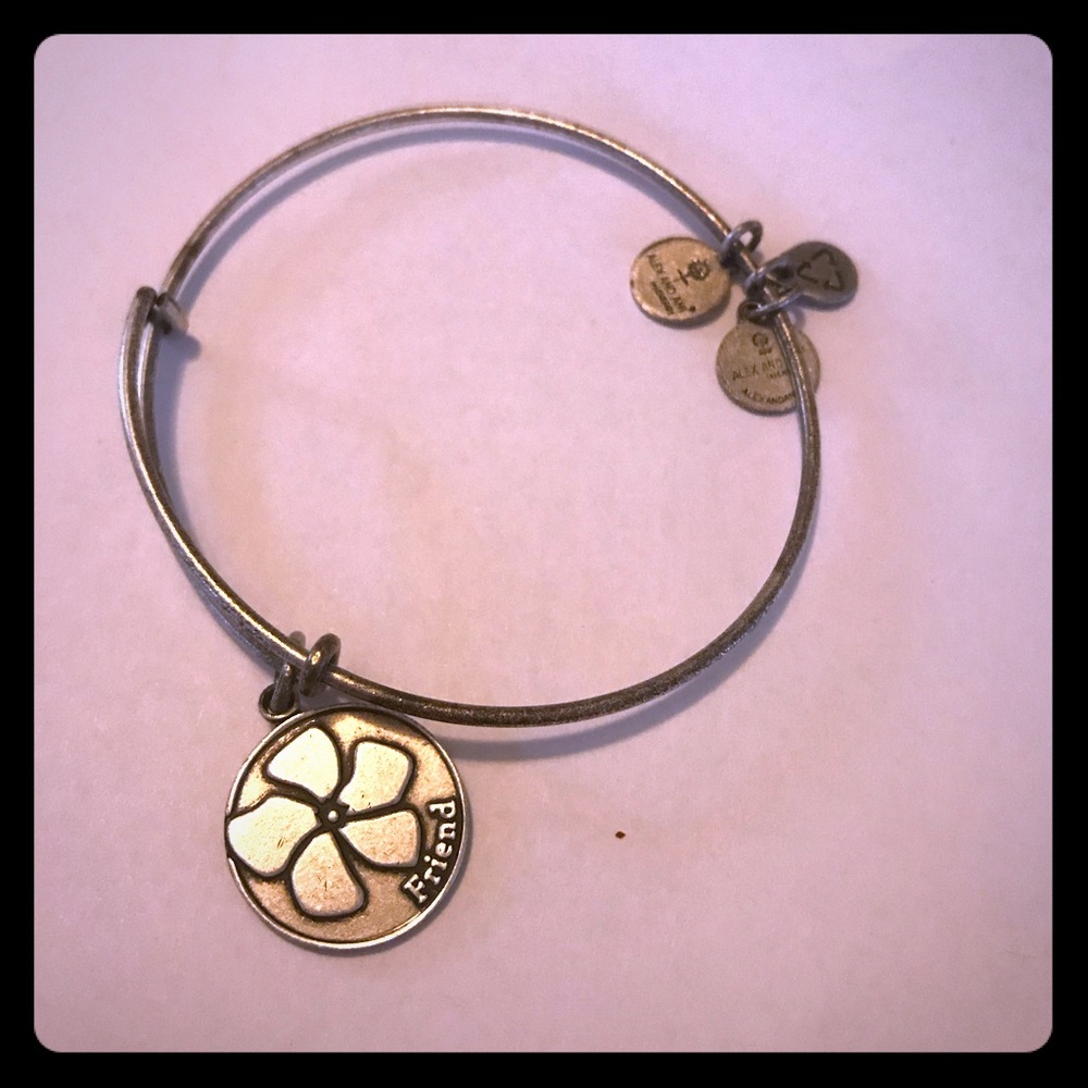 Alex and Ani friend bracelet